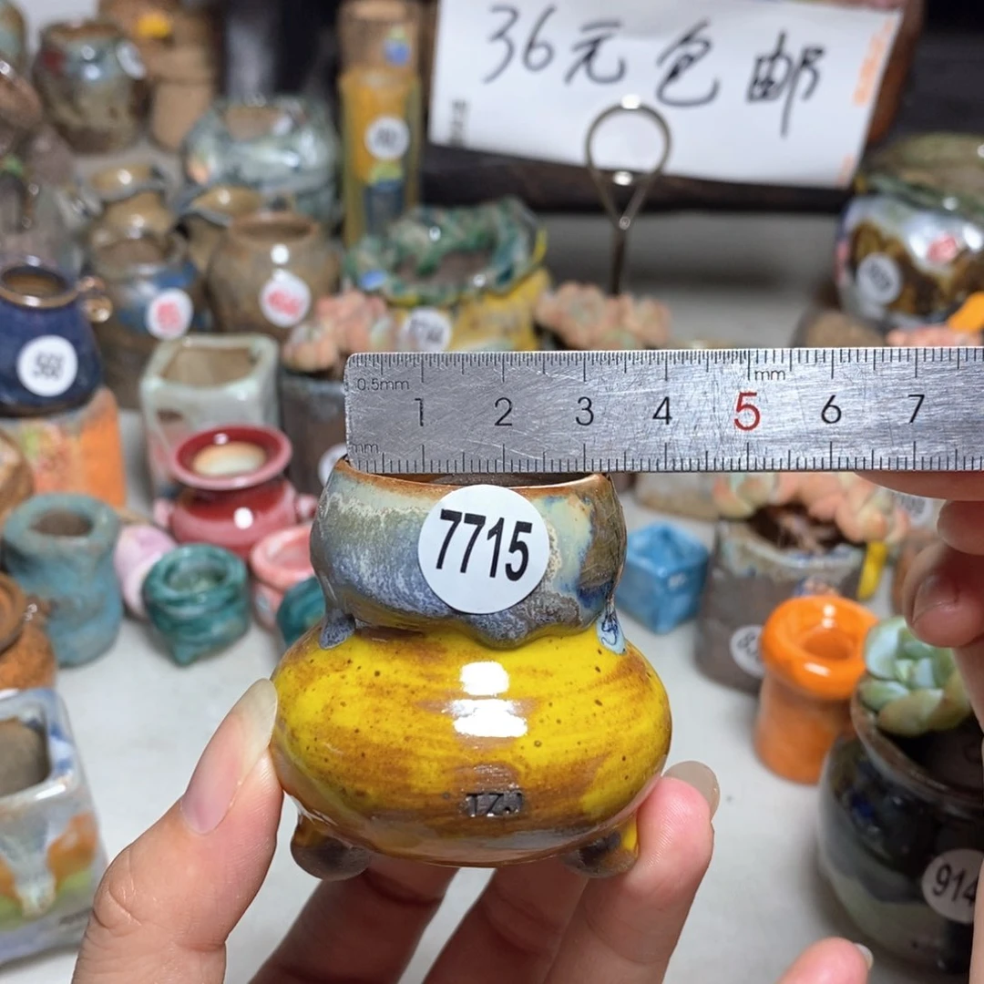 拍5送一个小礼物