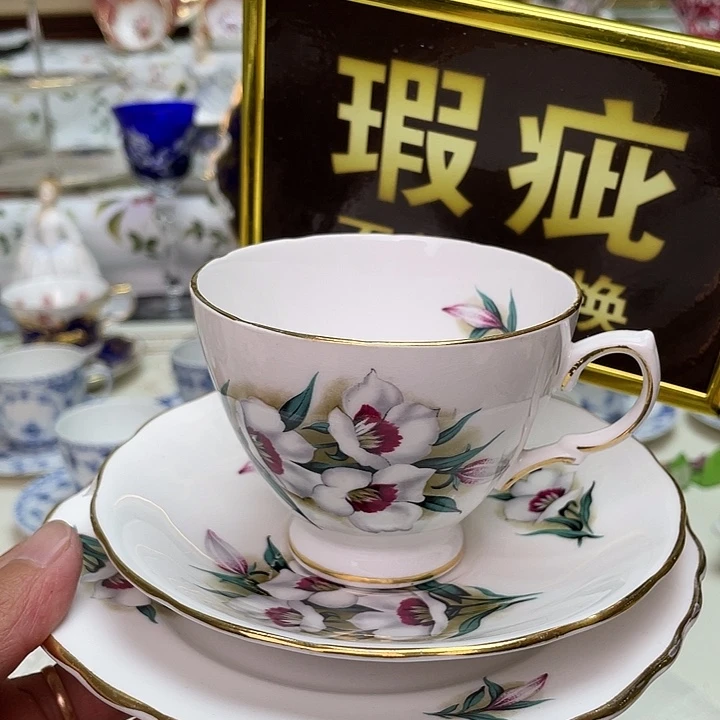 碟维多利亚欧洲中古