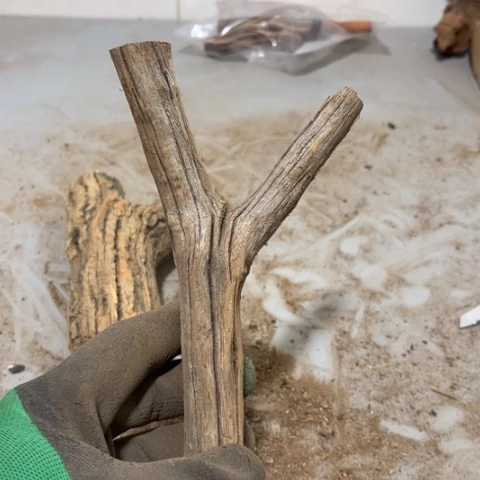 大果紫檀（缅甸花梨）求*