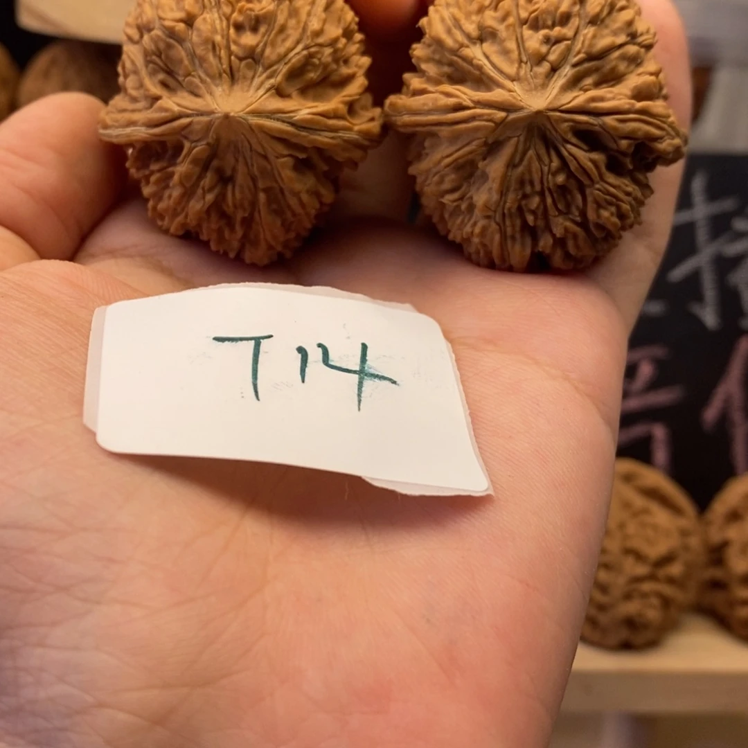 T14文玩核桃137核桃白茬无修