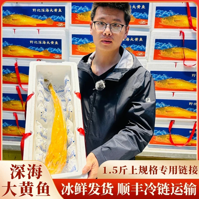 【船冻发货】宁德正宗大黄鱼1.5斤规格，礼盒装，产地直发，顺丰包邮