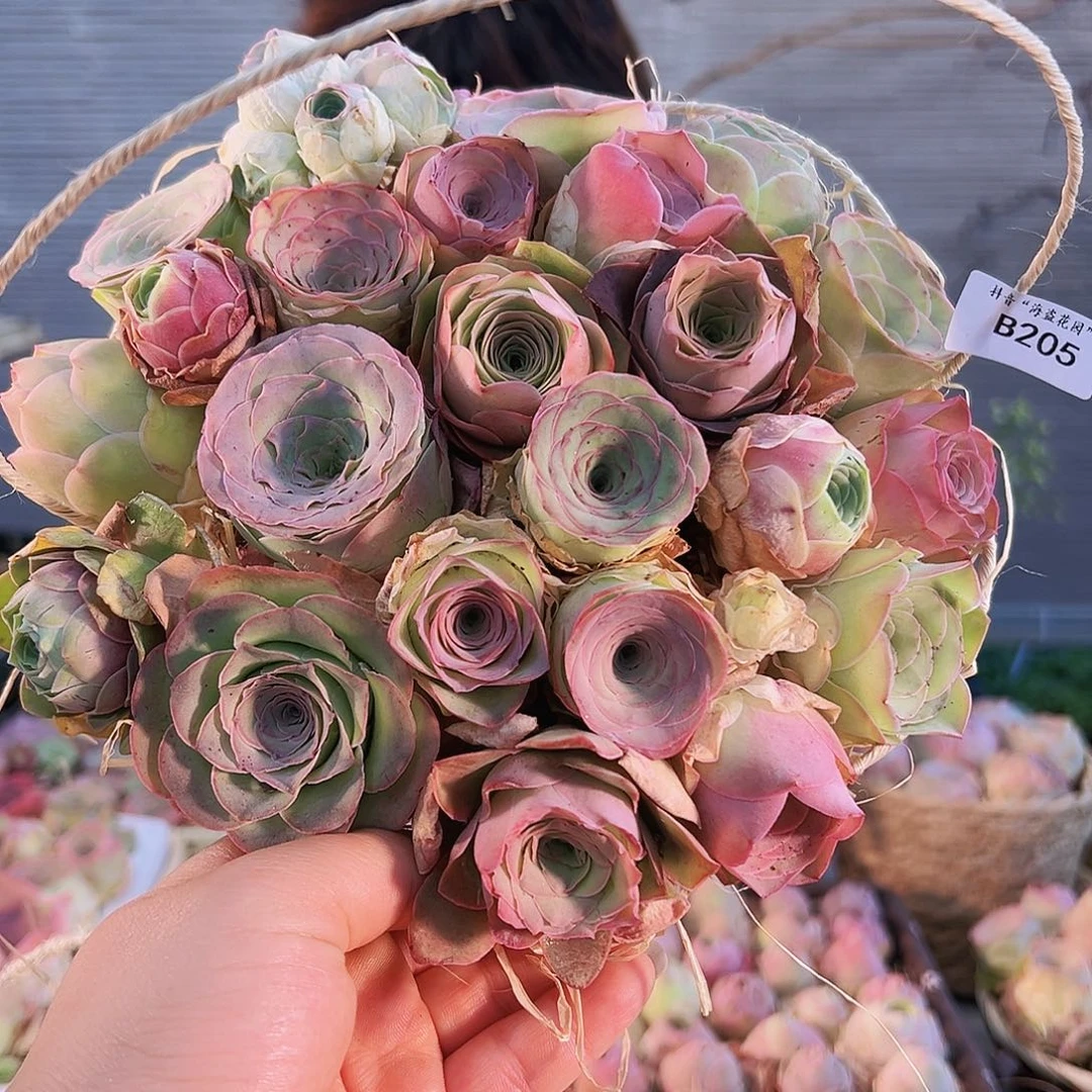 沁*心花篮一篮。B205.205