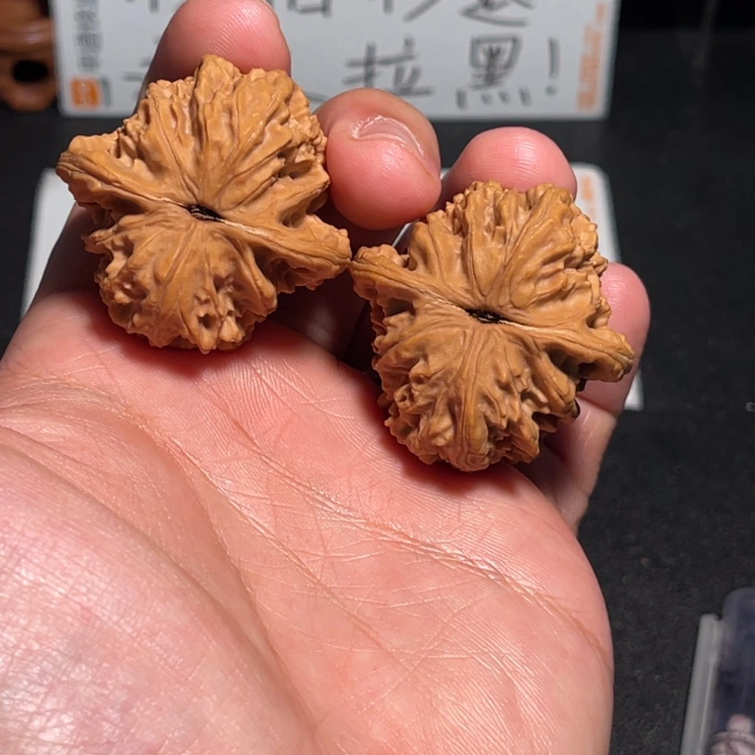 39盘龙虎头有磕尖