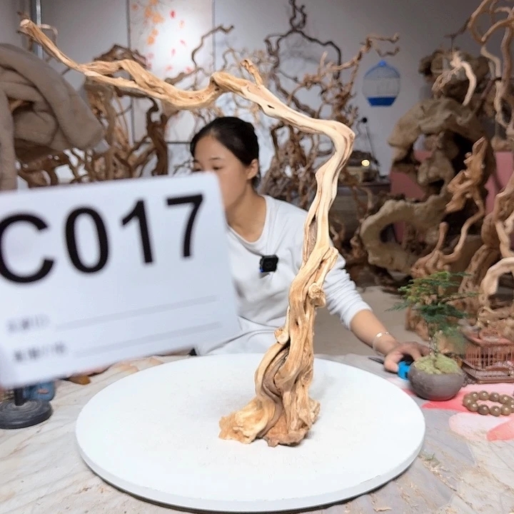 风车木（黑檀木）懂**惜