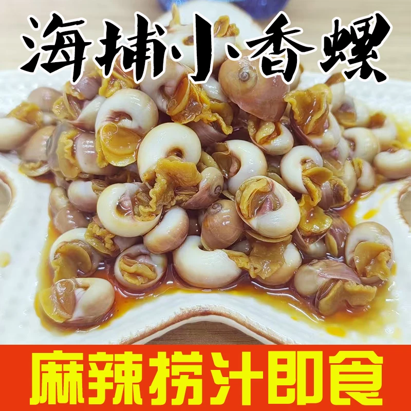 捞汁麻辣小香螺红腚螺猫眼螺即食小海鲜小号入味3罐共1200g