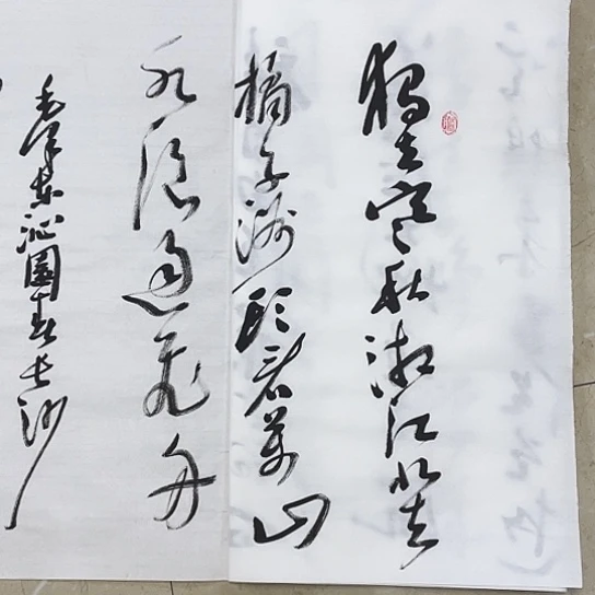 书法勇****）Lvqinzhenshufa