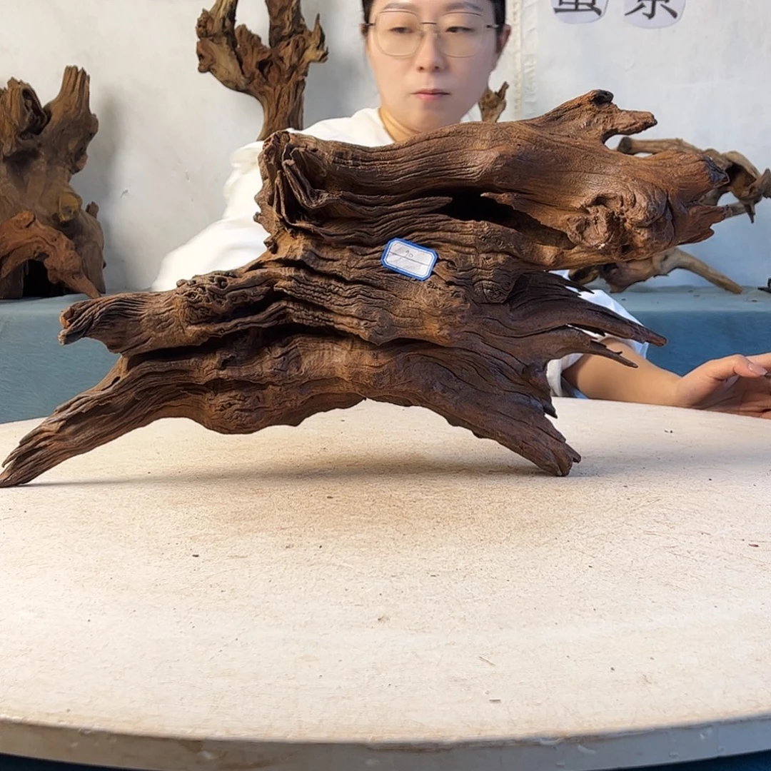 沉木造景爬宠造景