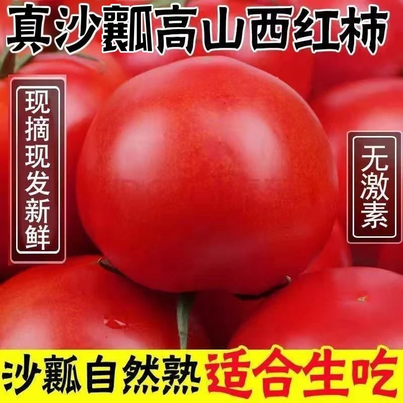 新鲜番茄5斤番茄自然熟产地直发沙瓤番茄西红柿