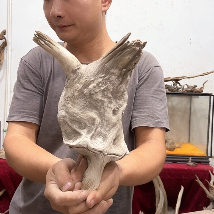 柏木崖***工我们都是好孩子呀我也