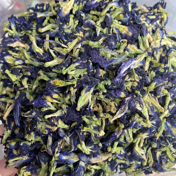 大集现收头蓝蝴蝶