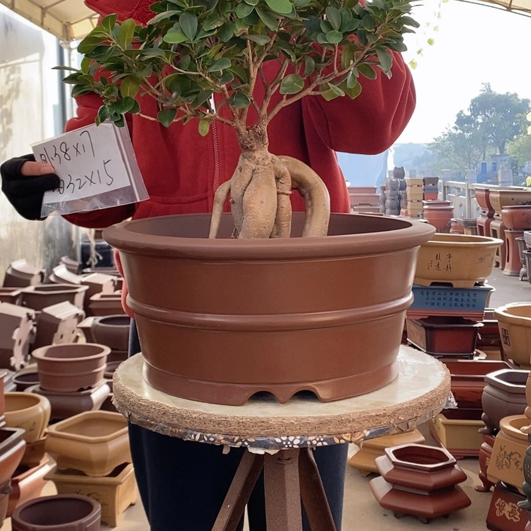 紫砂花盆紫砂花盆