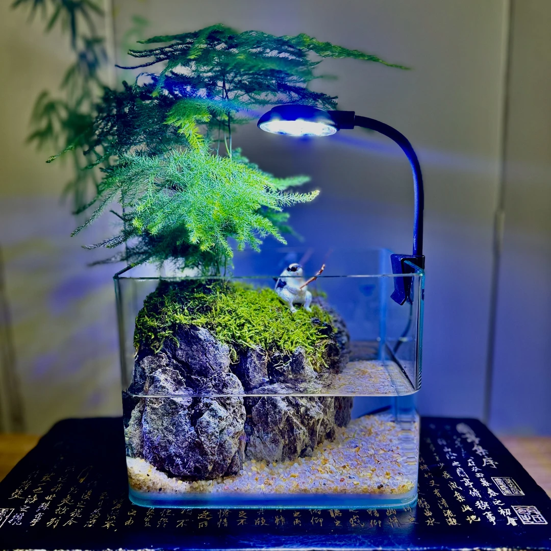 揽山「海岛屿浪」微景观中式山水桌面书桌办公桌摆放18*12*14cm