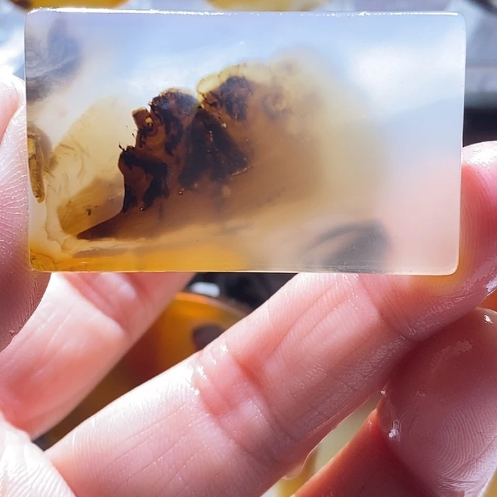 查罗石未镶嵌颈饰