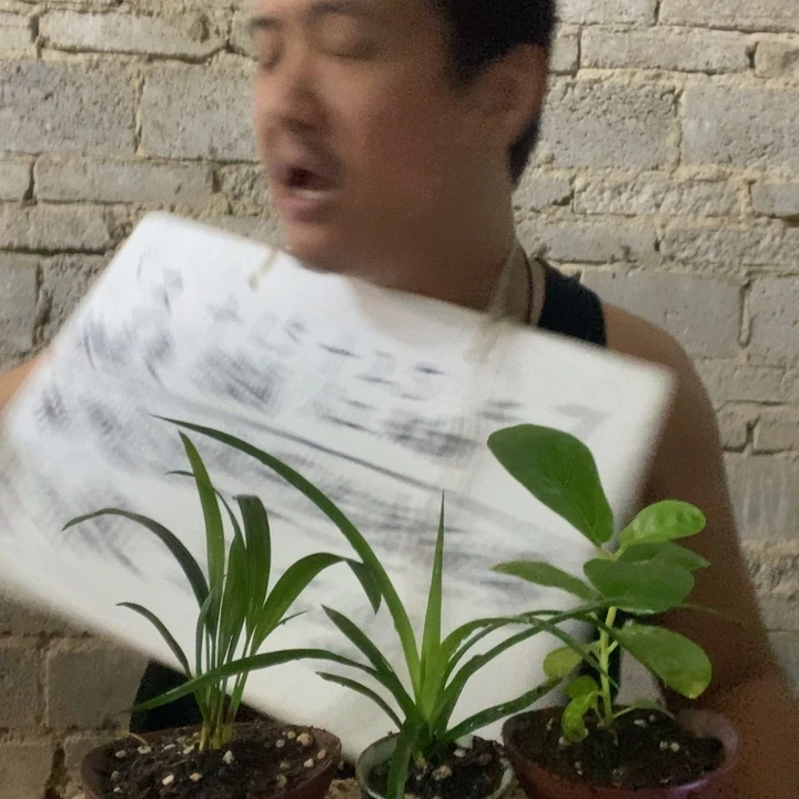 退款拉黑一物一拍60