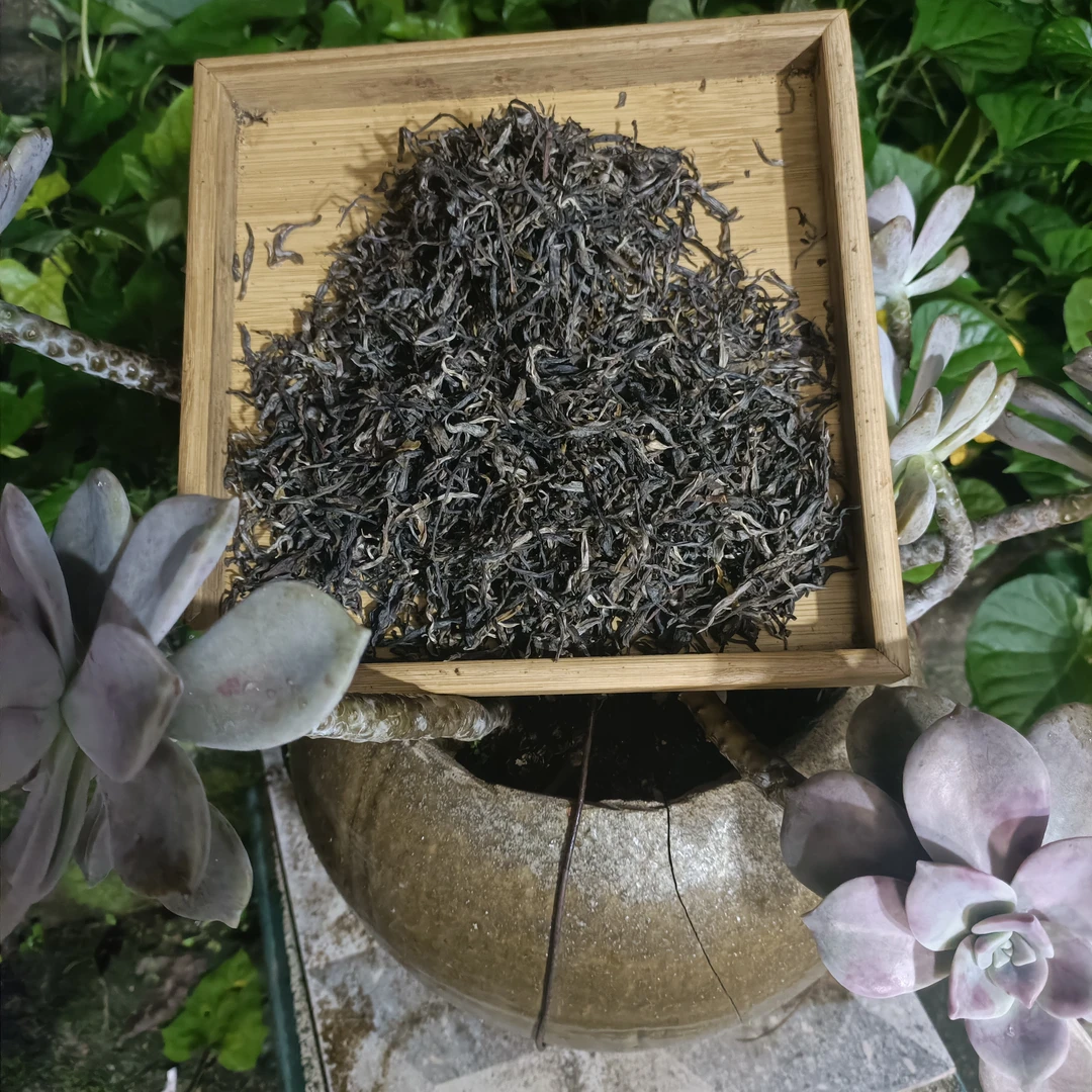 【荒山野岭】2025年爆香.普洱茶散茶200g（头春）