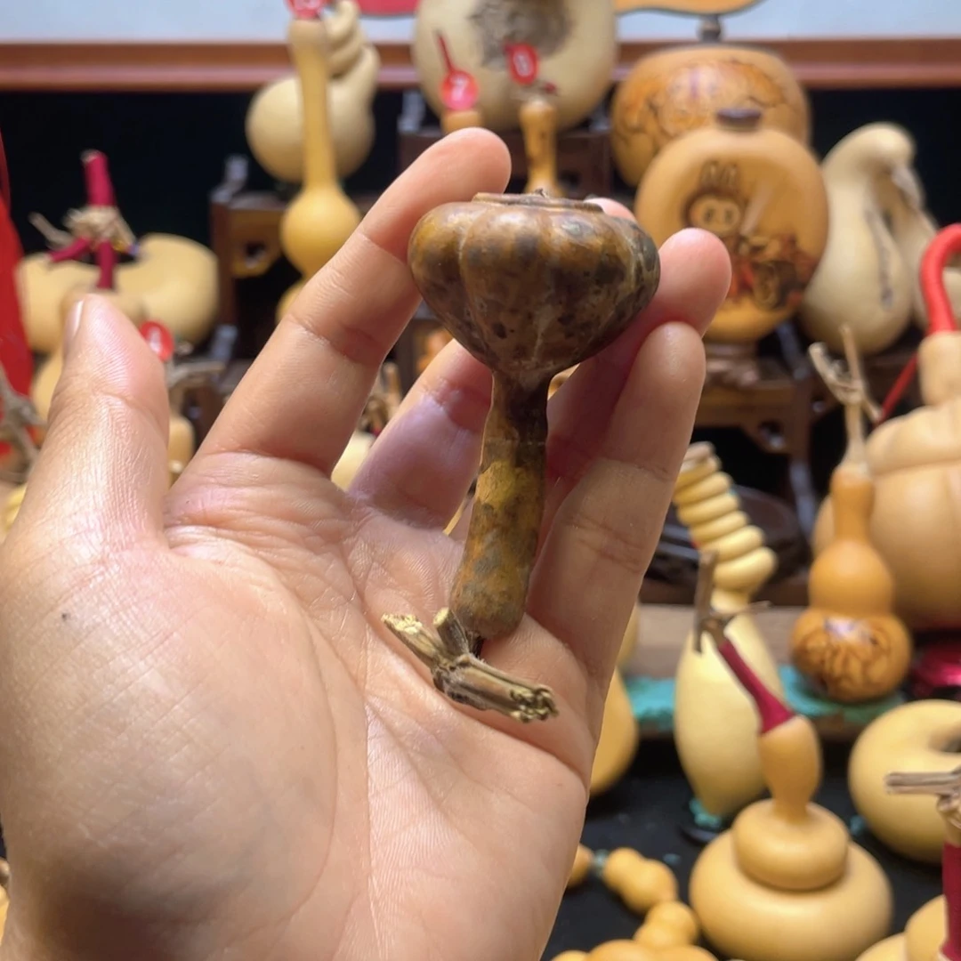 大自然的秘密第十节第一节
