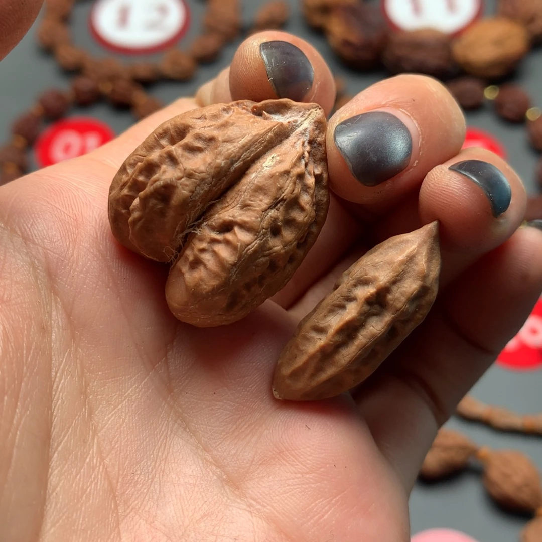 核桃28生命缘异型