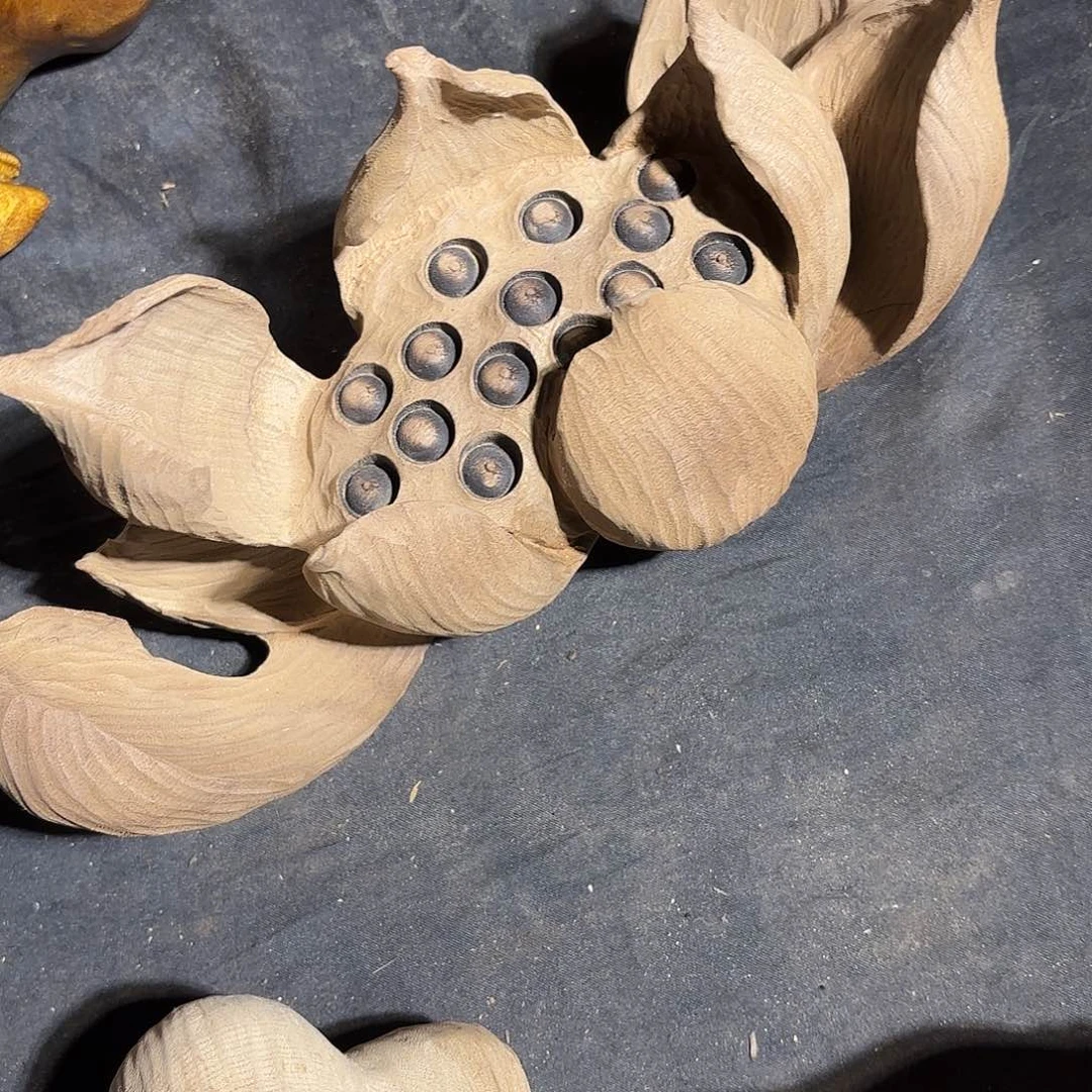 金丝楠遇****矣金丝楠木荷花