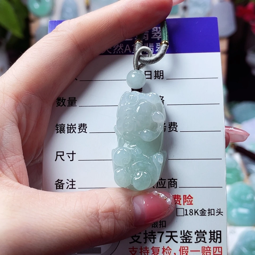 翡翠未镶嵌颈饰貔貅29