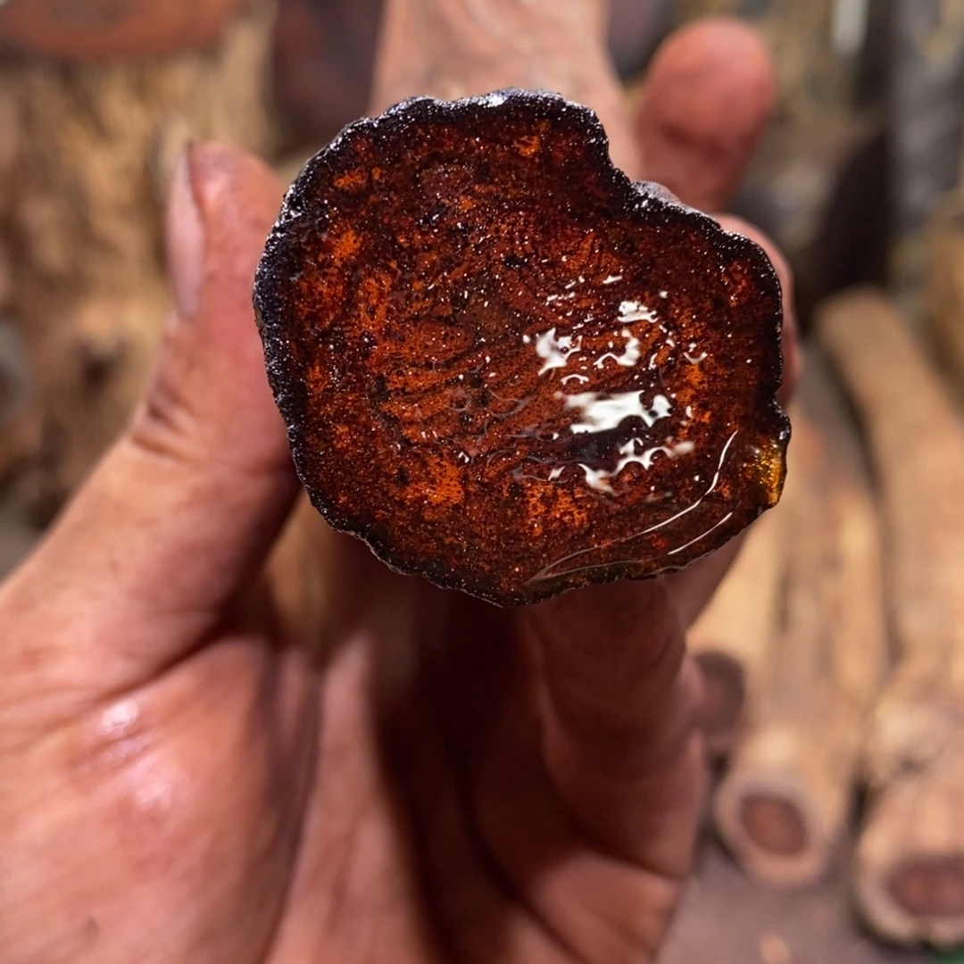 快***头有机玻璃在线阅读量