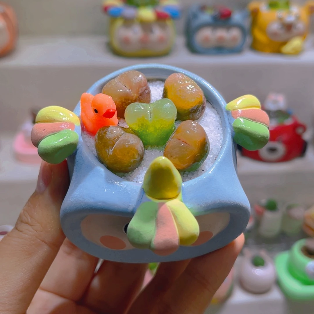 015高端多肉带盆土一套48