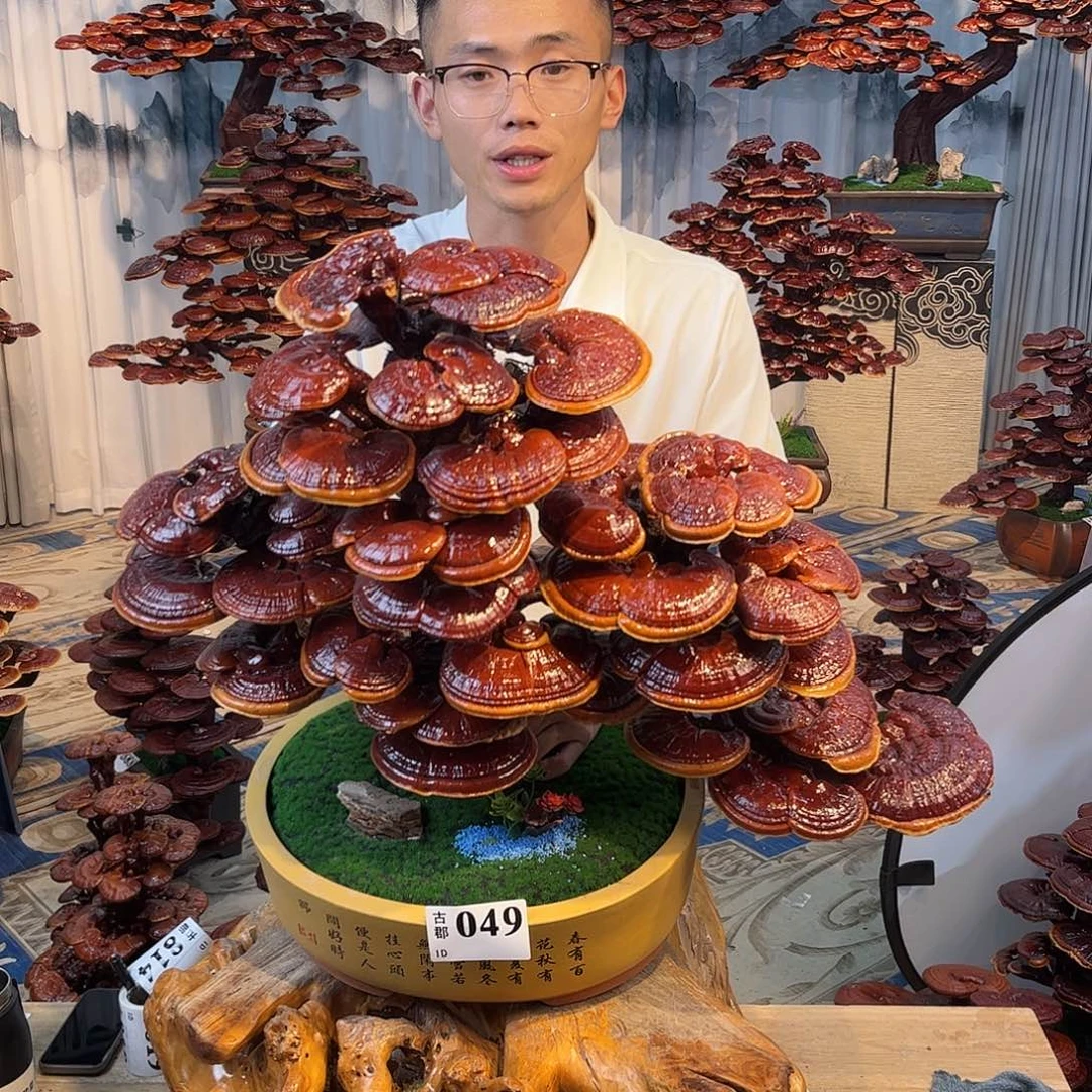 无花朵888888888888