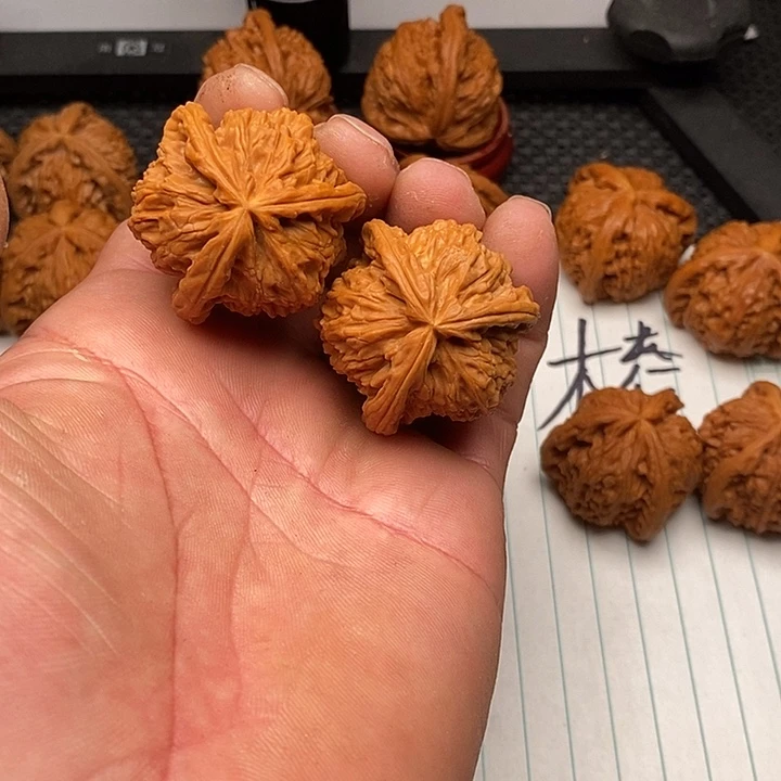 核桃手串/手链白狮子5