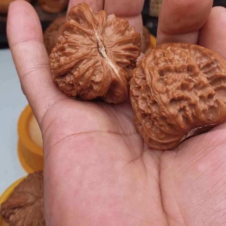核桃因****。你好吗我好想你啊我