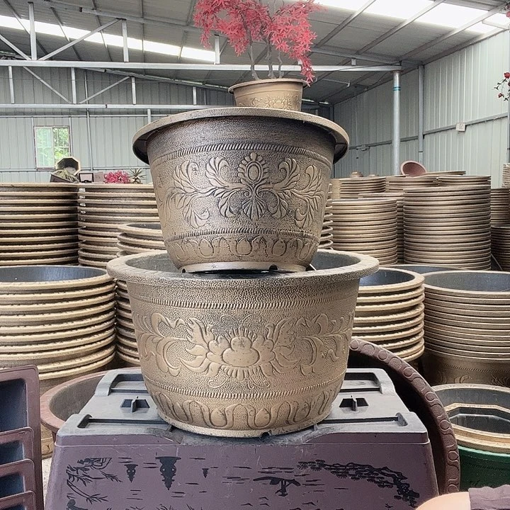 梅花照眼 依然旧风味