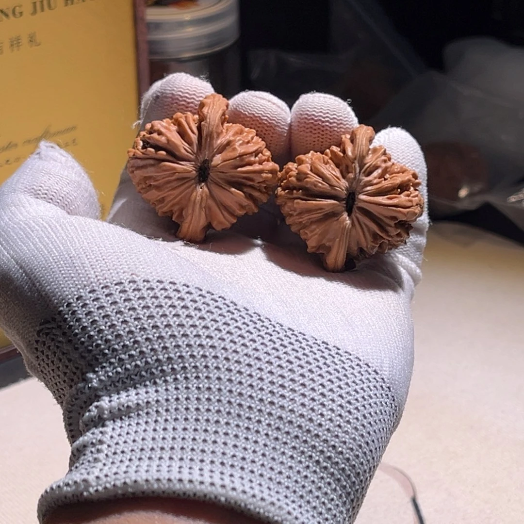 大***洋楼子楼子楼欧洲。楼子