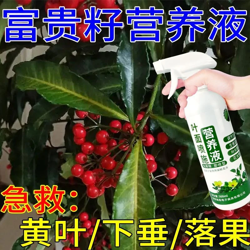 富贵籽营养液黄金万两盆栽金玉满堂绿植肥料家养植物液体肥水溶肥