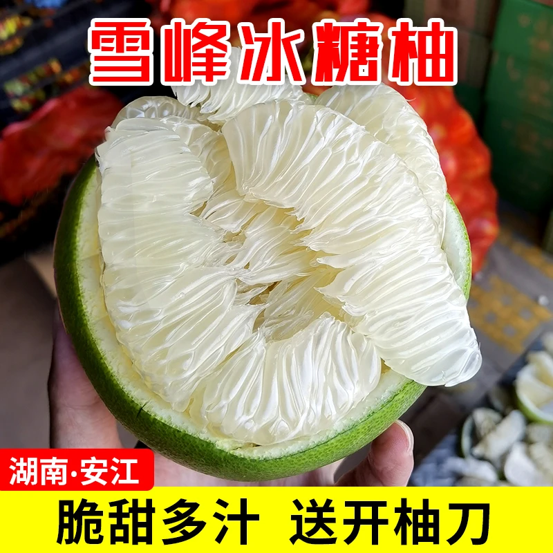 正宗安江雪峰冰糖柚湖南怀化小苦柚安福金兰柚老树小柚子水果土柚