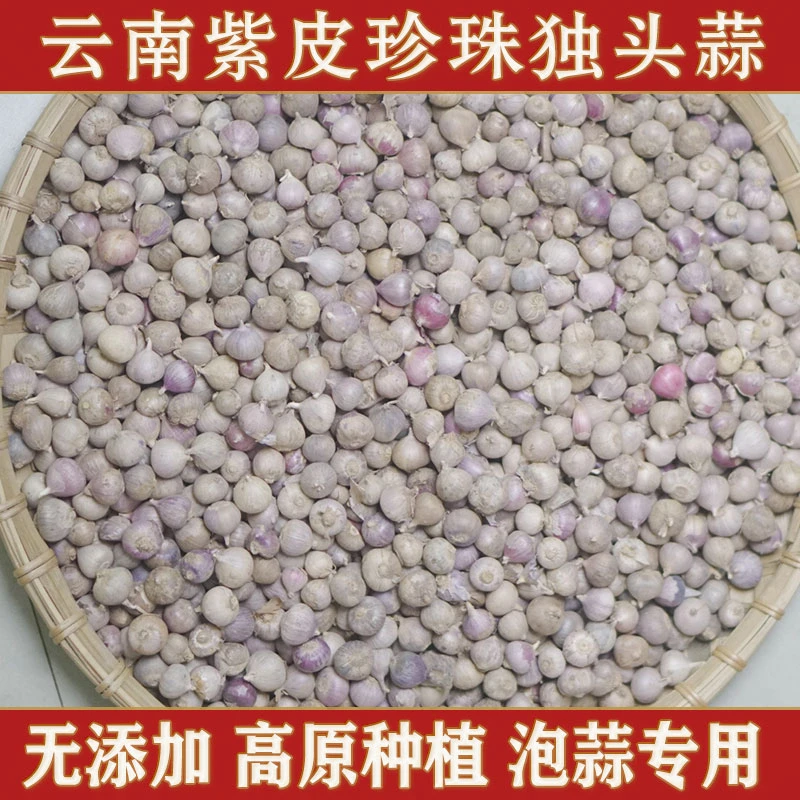 【净重发货】云南紫皮珍珠蒜独头蒜小果高原农家种植泡腊八蒜糖醋蒜