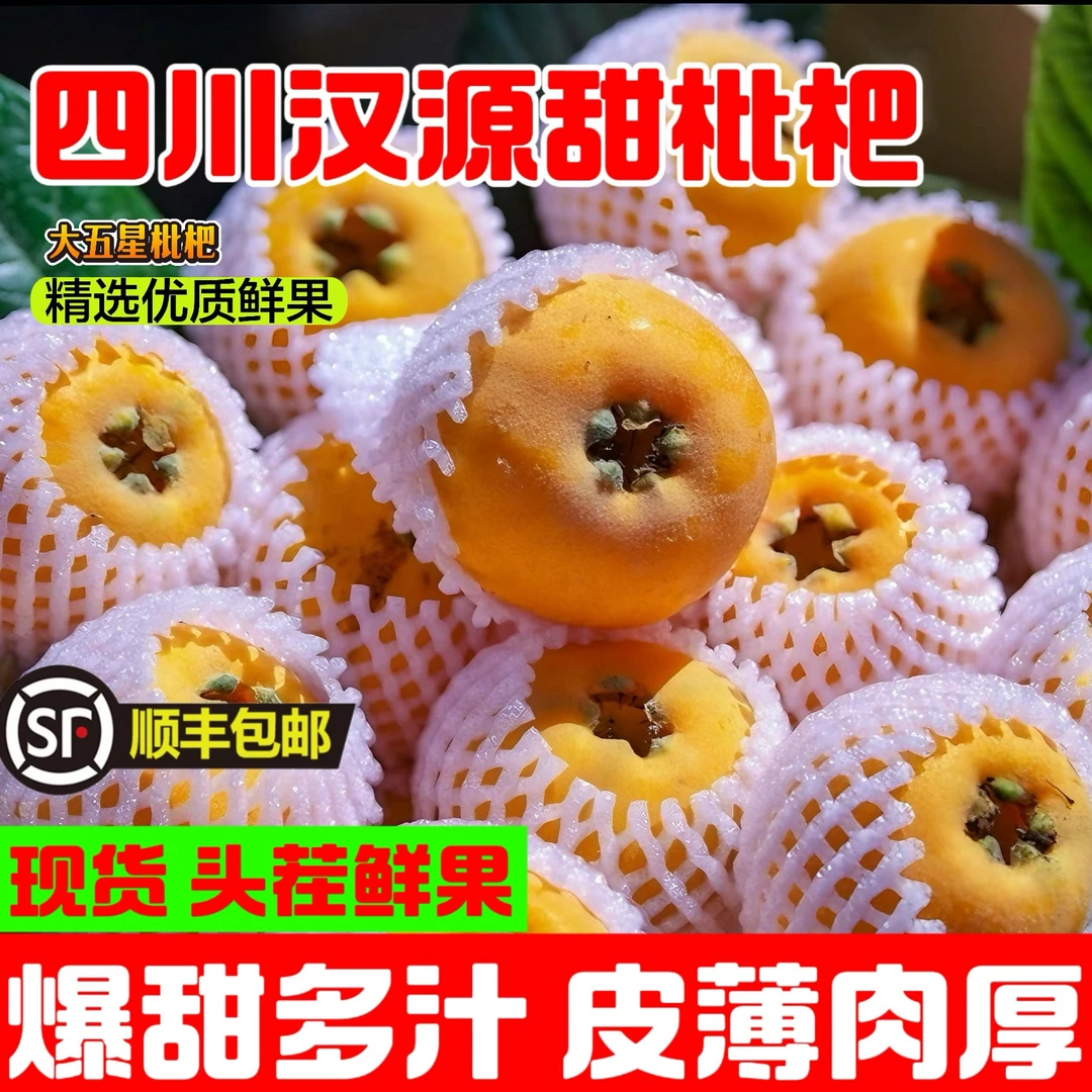 【礼赠品质】四川汉源大五星枇杷新鲜软糯当季水果顺丰包邮