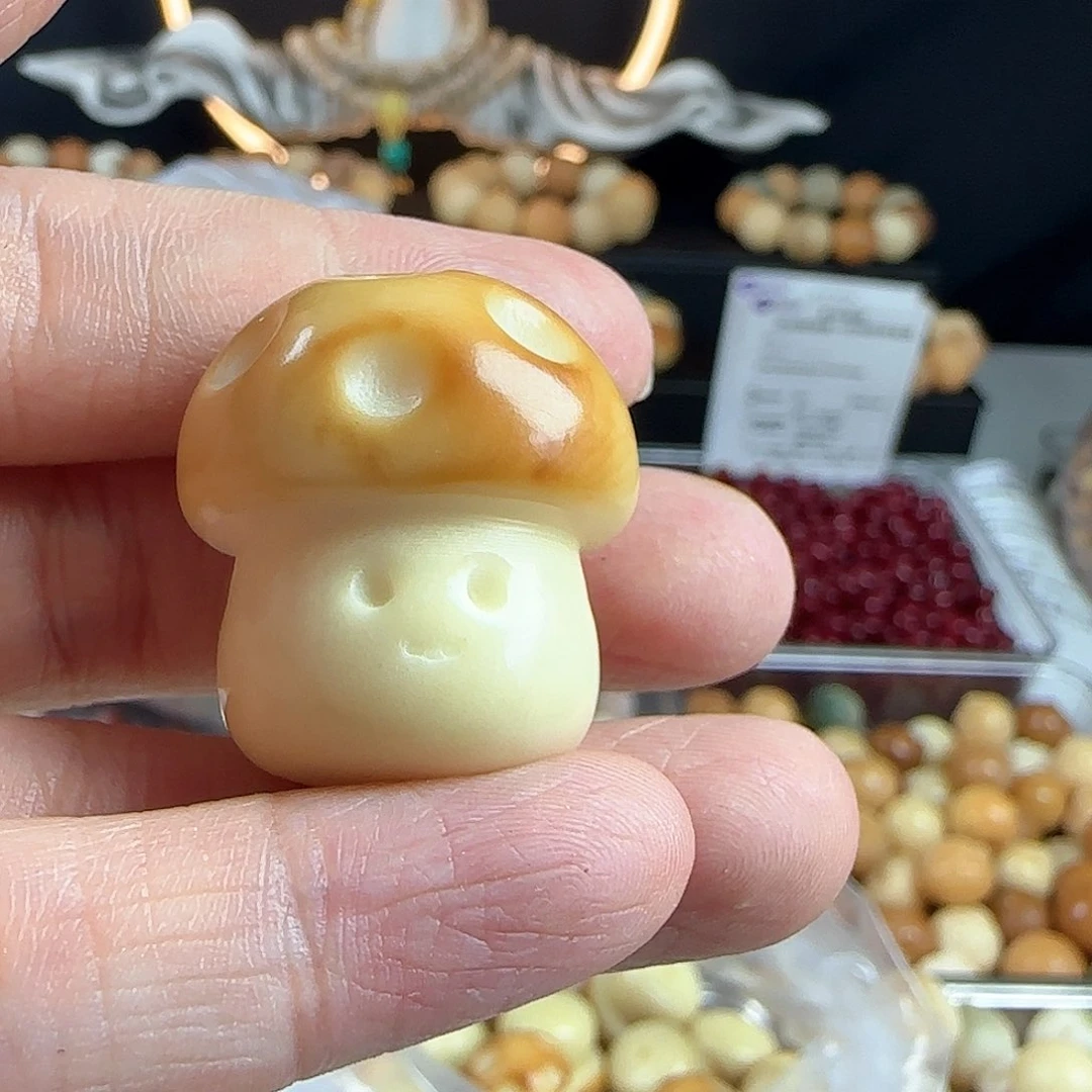 菩提根/象牙果手串全品牙果卡27蘑菇1颗