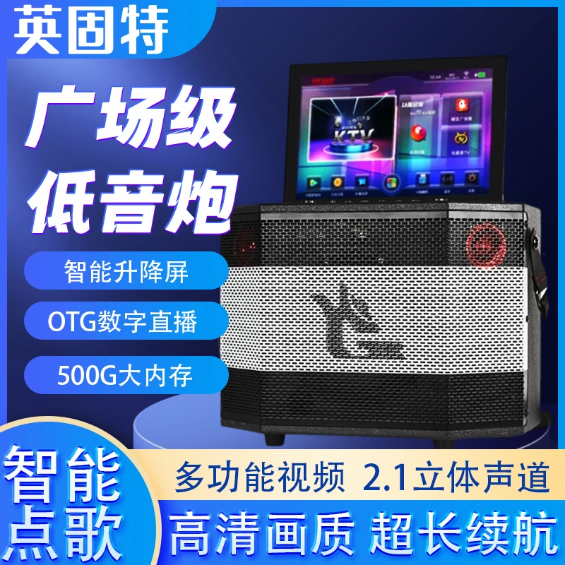 英固特家庭KTV音响带显示歌词一体机手提音箱K歌广场舞配话筒