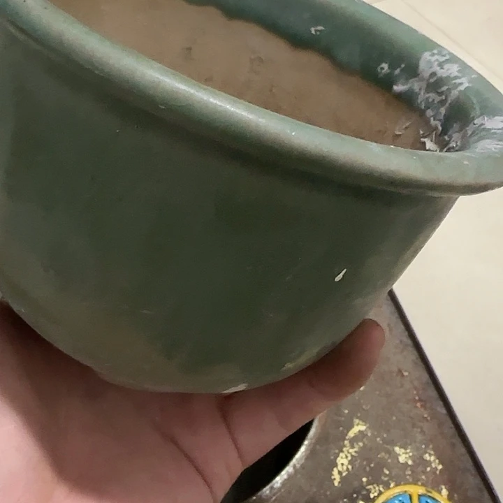 九****扇子吃h哈哈哈哈哈哈哈哈哈