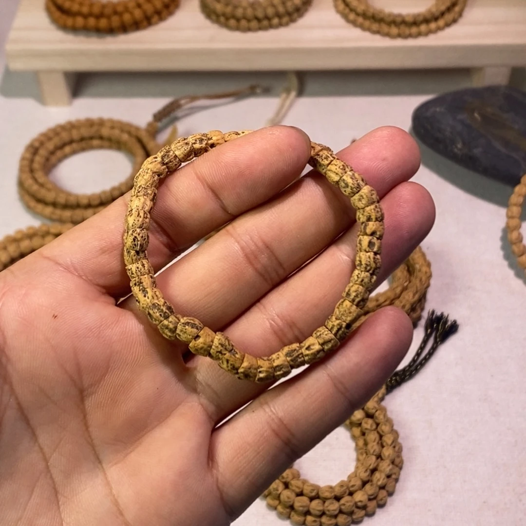 热振柏香籽斜切脏鬼肠单圈一个