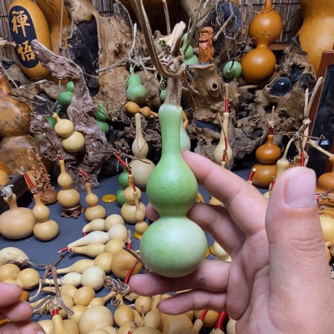 木天津嘴手捻青皮葫芦
