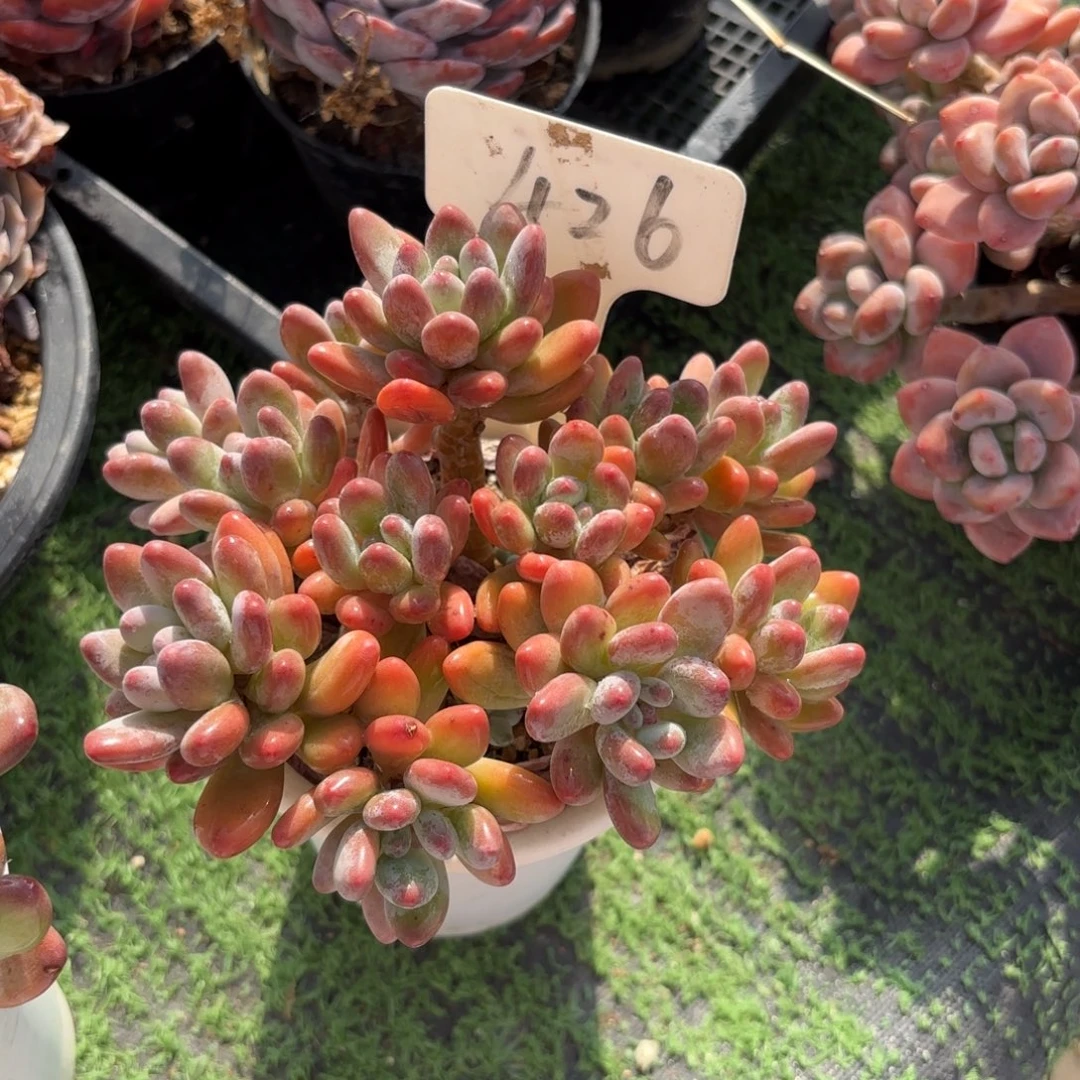 平***水426ghjkkjjkkkkkkkk