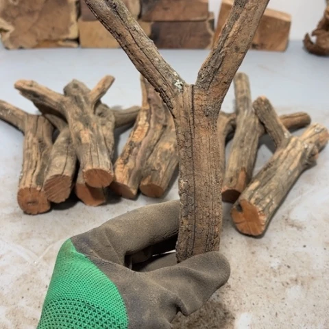 大果紫檀（缅甸花梨）N*