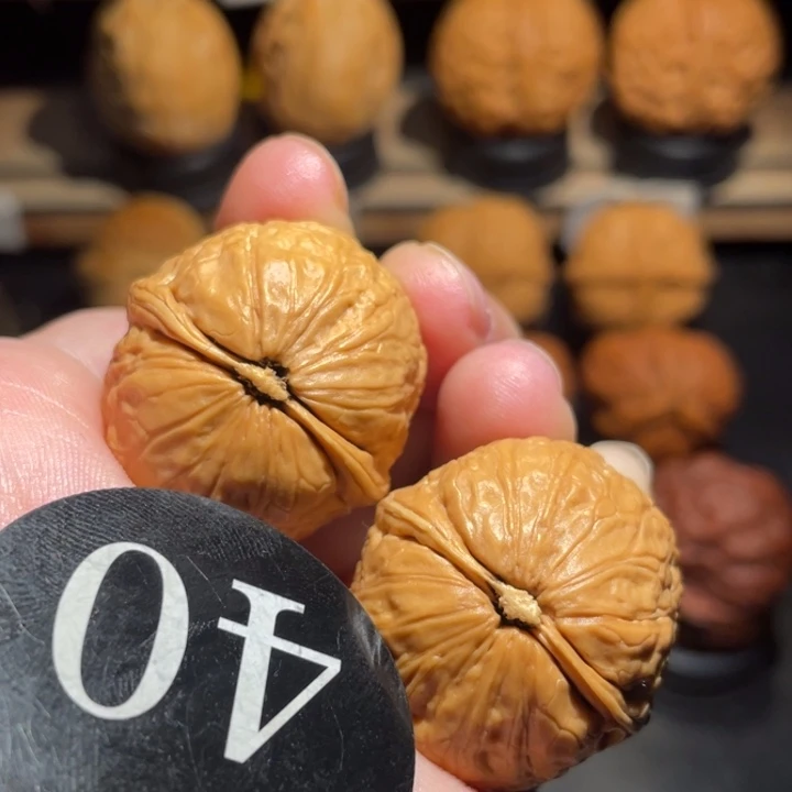 肉丸子31尺寸核桃