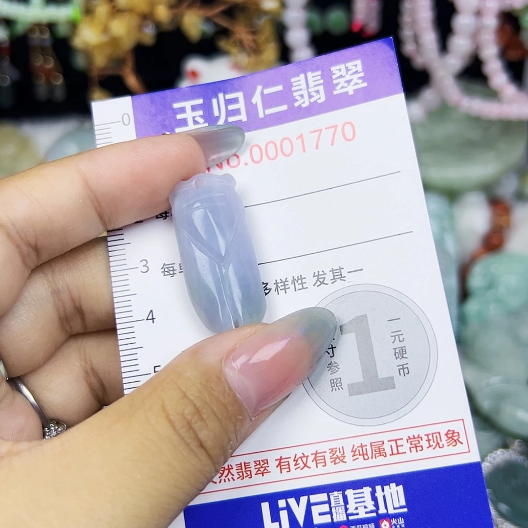 翡翠未镶嵌颈饰111