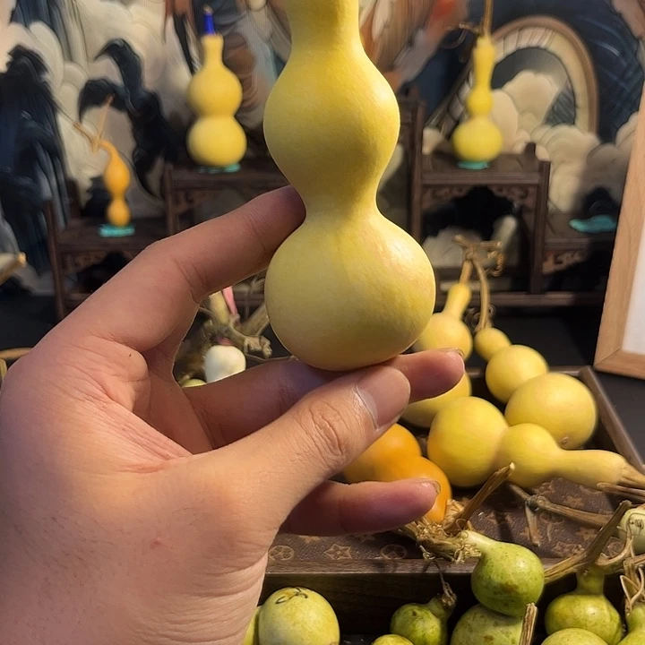 ****摇大叶紫檀（黑酸枝木类）