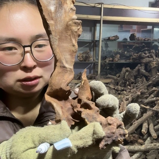 香榧木顺火琉璃啊摆件