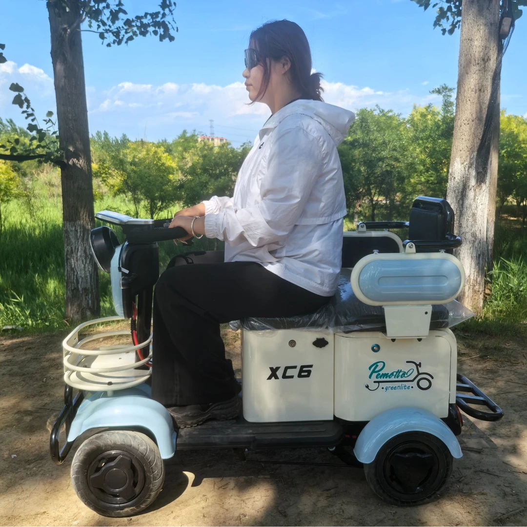 电动四轮车轻便款休闲款式型成人接送通勤逛街买菜载物电动三轮车