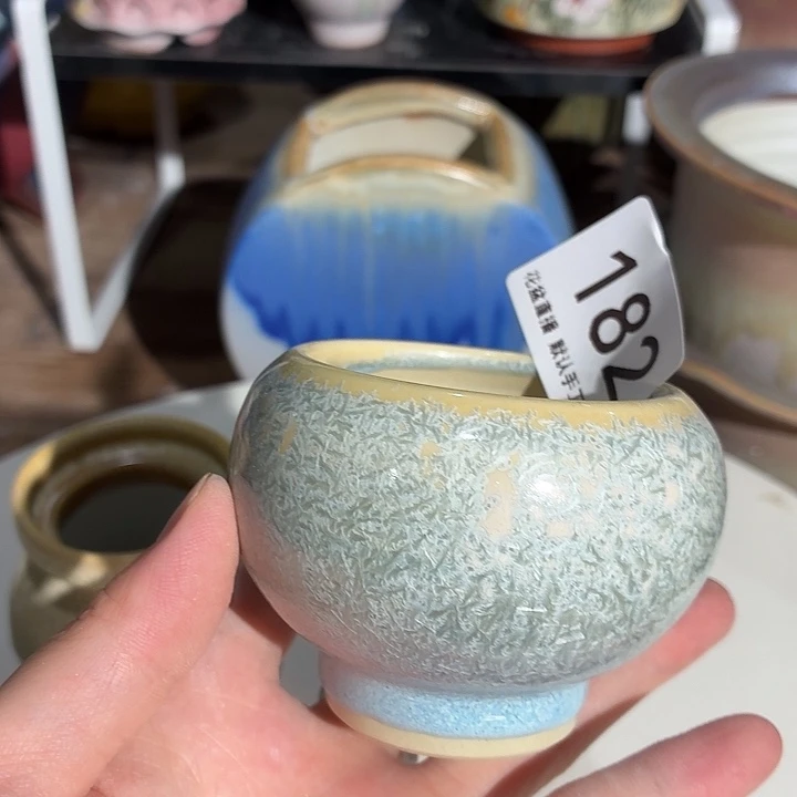 花盆花盆花盆花盆