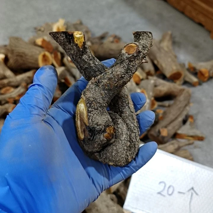 用***1香榧木麻梨疙瘩毛料毛料毛料