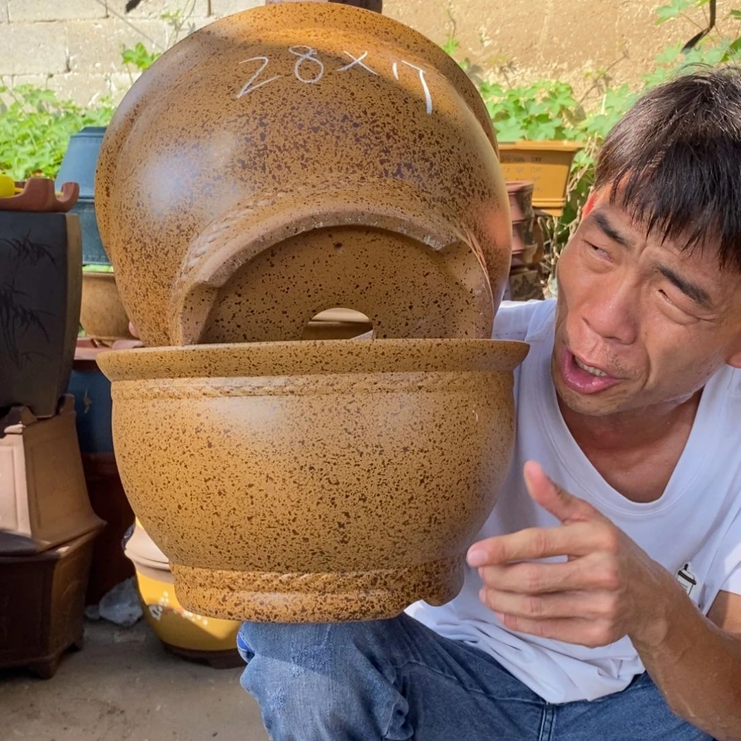 紫砂紫砂紫砂紫砂