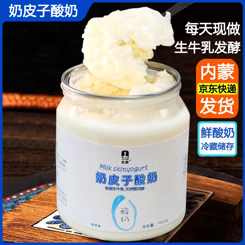 奶赞内蒙古奶皮子酸奶 无蔗糖草原风味老酸奶单桶500g